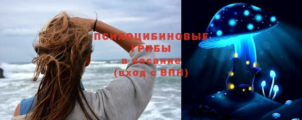 экстази Михайлов